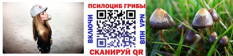 Галлюциногенные грибы прущие грибы  Волхов 