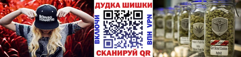 МАРИХУАНА гибрид Волхов